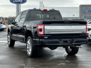 Thumbnail image of 2021 Ford F-150 at Lasco Ford