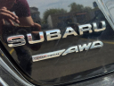 Thumbnail image of 2021 Subaru WRX at Champion Used Auto Sales