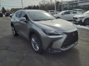 Thumbnail image of 2022 Lexus NX 350 at Lexus Of Toledo
