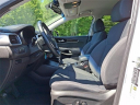 Thumbnail image of 2019 Kia Sorento at Rossi Chrysler Dodge Jeep Ram