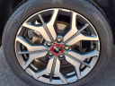 Thumbnail image of 2022 Kia Seltos at Generation Kia