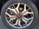 Thumbnail image of 2022 Kia Seltos at Generation Kia Buick Gmc