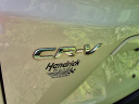 Thumbnail image of 2022 Honda CR-V at Stateline Chrysler Jeep Dodge Ram Fiat