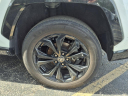 Thumbnail image of 2023 Toyota RAV4 Hybrid at Lou Fusz Ford Chesterfield
