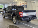 Thumbnail image of 2023 Ford F-150 at Sanders Ford