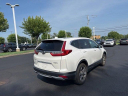 Thumbnail image of 2019 Honda CR-V at Piazza Honda Of Pottstown USED