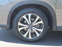Thumbnail image of 2024 Subaru Forester at Beechmont Subaru