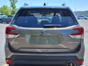 Thumbnail image of 2024 Subaru Forester at Beechmont Subaru