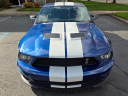 Thumbnail image of 2008 Ford Shelby GT500 at M&M Investment Cars
