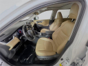 Thumbnail image of 2021 Toyota RAV4 at Toyota Scion of Tampa Bay