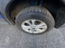 Thumbnail image of 2019 Ford Escape at Starter Cars