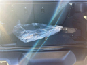 Thumbnail image of 2025 Jeep Wrangler at Hollywood Chrysler Jeep