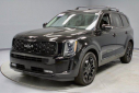 Thumbnail image of 2022 Kia Telluride at Ricart Used