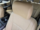 Thumbnail image of 2019 Ford F-150 at Mac Haik Ford Houston Preowned