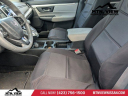 Thumbnail image of 2017 Honda CR-V at Mountain View Nissan NEW