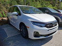 Thumbnail image of 2025 Honda Odyssey at Martin Main Line Honda USED