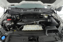 Thumbnail image of 2023 Ford F-150 at Bluebonnet Super Center - USED