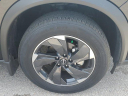 Thumbnail image of 2025 Nissan Rogue at Nissan of Fort Myers-New