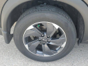 Thumbnail image of 2025 Nissan Rogue at Nissan of Fort Myers-New