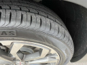 Thumbnail image of 2019 GMC Terrain at Twin City Buick GMC
