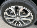 Thumbnail image of 2019 GMC Terrain at Twin City Buick GMC