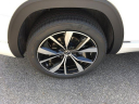 Thumbnail image of 2025 Volkswagen Atlas at O'Connor Volkswagen - New and Used