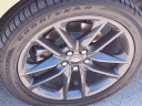 Thumbnail image of 2023 Dodge Charger at Uvalde Chevrolet
