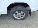 Thumbnail image of 2022 Ford F-150 at Davis Motors Inc.