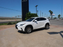 Thumbnail image of 2020 Lexus NX 300h at North Park Lexus Rio Grande Valley - NEW