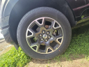 Thumbnail image of 2025 Ford F-150 at Suntrup Ford Westport