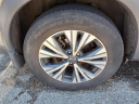 Thumbnail image of 2023 Nissan Rogue at Nissan 46