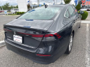 Thumbnail image of 2024 Honda Accord at Honda Universe