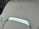 Thumbnail image of 2024 Ford Bronco Sport at MtOrabFord NEW