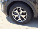 Thumbnail image of 2022 Kia Telluride at Mike Miller Autopark