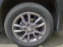 Thumbnail image of 2024 GMC Terrain at HaleyBuickGMC-New of Richmond, VA
