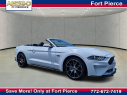 Thumbnail image of 2021 Ford Mustang at Arrigo Chrysler Dodge Jeep Ram at Sawgrass