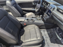 Thumbnail image of 2021 Ford Mustang at Arrigo Chrysler Dodge Jeep Ram at Sawgrass