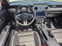 Thumbnail image of 2021 Ford Mustang at Arrigo Chrysler Dodge Jeep Ram at Sawgrass