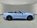 Thumbnail image of 2021 Ford Mustang at Arrigo Chrysler Dodge Jeep Ram at Sawgrass
