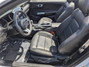 Thumbnail image of 2021 Ford Mustang at Arrigo Chrysler Dodge Jeep Ram at Sawgrass