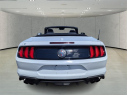 Thumbnail image of 2021 Ford Mustang at Arrigo Chrysler Dodge Jeep Ram at Sawgrass