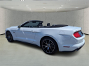 Thumbnail image of 2021 Ford Mustang at Arrigo Chrysler Dodge Jeep Ram at Sawgrass