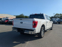 Thumbnail image of 2021 Ford F-150 at Kings Colonial Ford