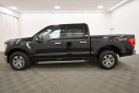 Thumbnail image of 2023 Ford F-150 at Tom Kadlec Honda