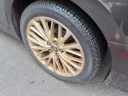 Thumbnail image of 2019 Toyota Camry at Lexington Toyota
