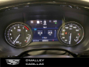Thumbnail image of 2021 Cadillac XT5 at O'Malley Honda