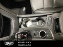 Thumbnail image of 2021 Cadillac XT5 at O'Malley Honda