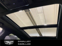 Thumbnail image of 2021 Cadillac XT5 at O'Malley Honda