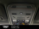 Thumbnail image of 2021 Cadillac XT5 at O'Malley Honda