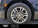 Thumbnail image of 2021 Cadillac XT5 at O'Malley Honda
